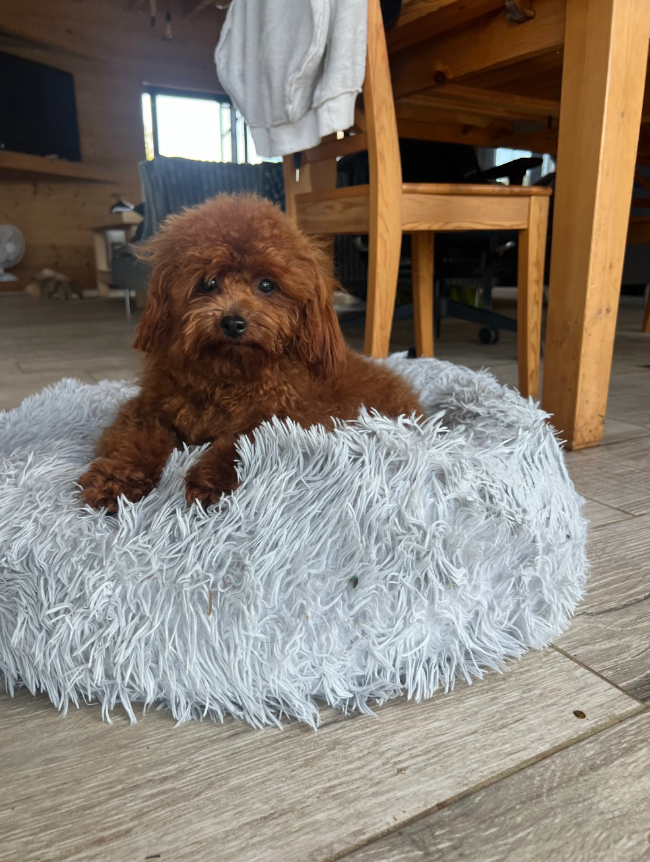 grand mère Stéllia