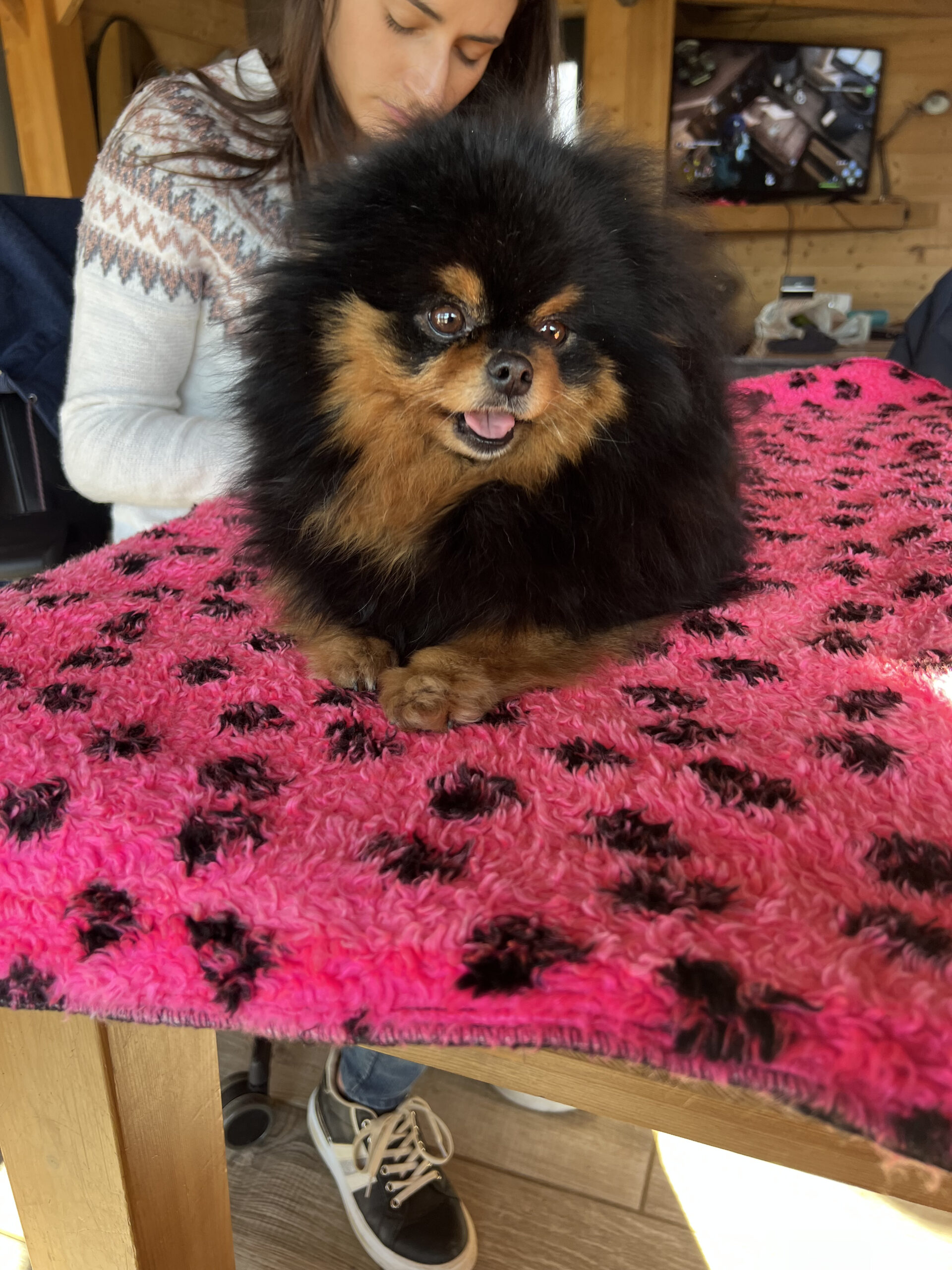 Kiara maman de Ushka