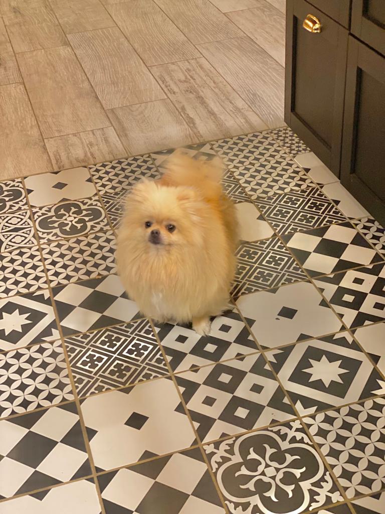 Teffi  maman de Tchao Bella