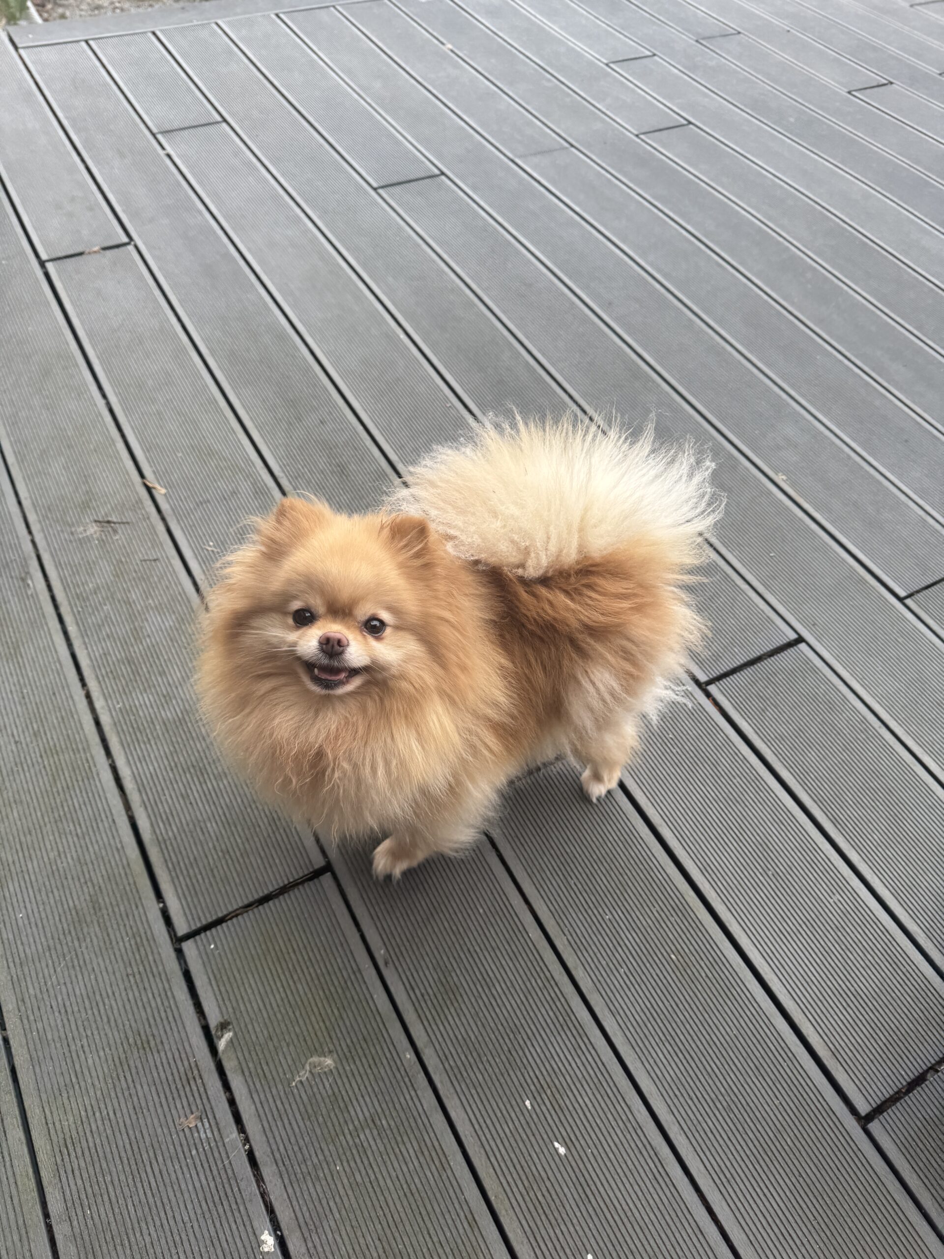 Naomi maman de Tsuky