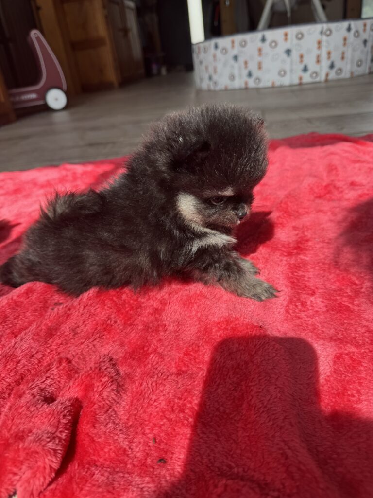 IMG_3909