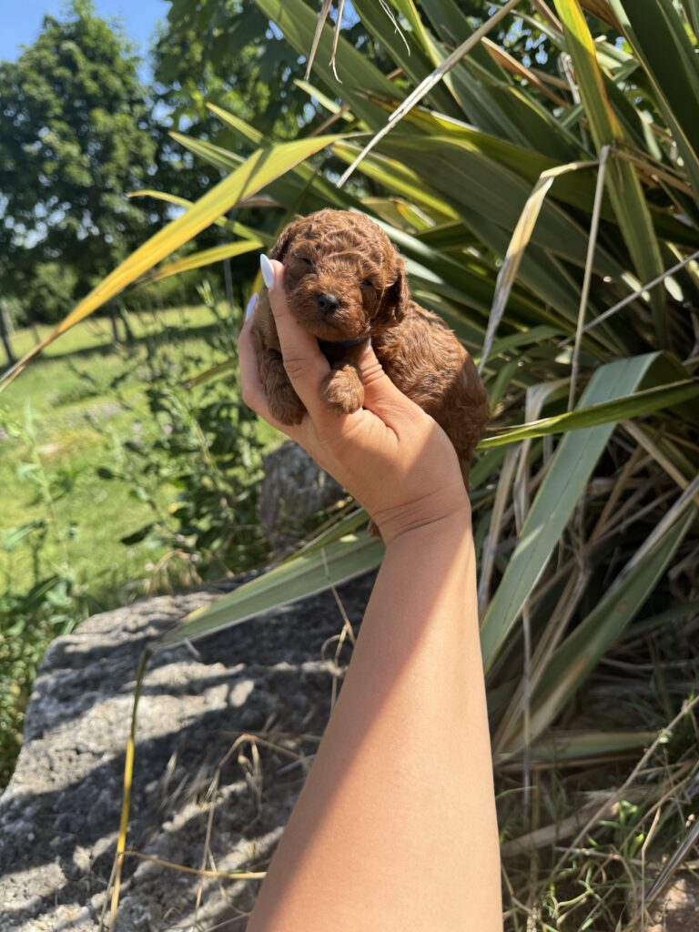 IMG_6157 (1)