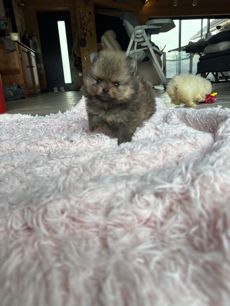 IMG_0397