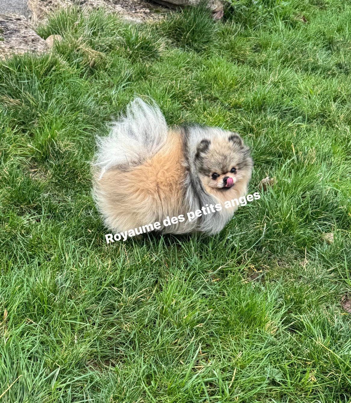 Twix
