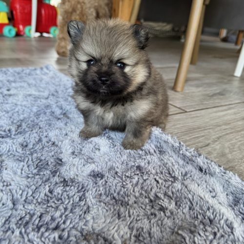 Arya est réservée